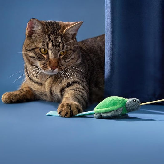 Cat Toys | Plush Turtle Teaser Cat Wand Toy | Eco Friendly Interactive Cat Toys for Indoor Cats