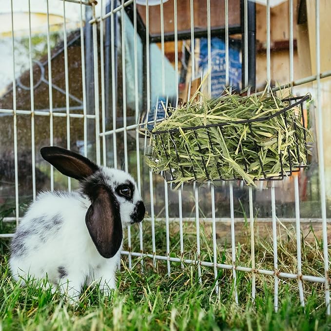 4 Pcs Rabbit Hay Feeder, Heavy Duty Metal Rabbit Hay Rack with Hooks Small Animal Cage Accessories Bunny Hay Feeder Holder Pet Grass Rack for Guinea Pig Chinchillas