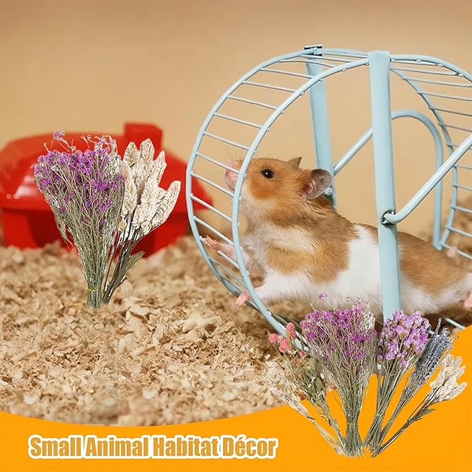 Natural Dried Flower Hamster Sprays for Hamster Cages, Decorative Floral Hamster Bedding Decors, Small Animal Houses & Habitats Hamster Cage Accessories