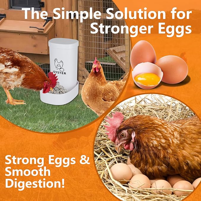 Chicken Oyster Shell Feeder and Grit Feeder with Lid, Automatic Chicken Feeder Coop Accessories Supplies Bottom with Drainage Holes Design for Healthier Hens & Eggs
