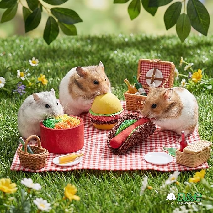 A&E Cage Co NB053 Summer Cookout Small Animal Chew Toys – Wood & Loofah Chews for Hamsters, Gerbils, Mice & Rats – Natural Boredom Breaker Toy Set for Small Pets