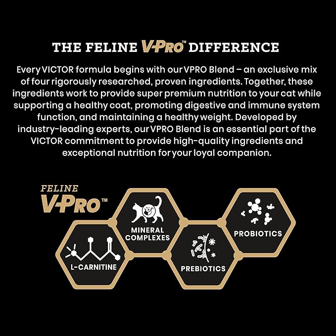 VICTOR Super Premium Cat Food – Hi-Pro Plus Active Adult Cat and Kitten – Dry Feline Food for Active Cats – All Breeds and All Life Stages – Supports Energy, Healthy Coat, Immune Function, 15lb