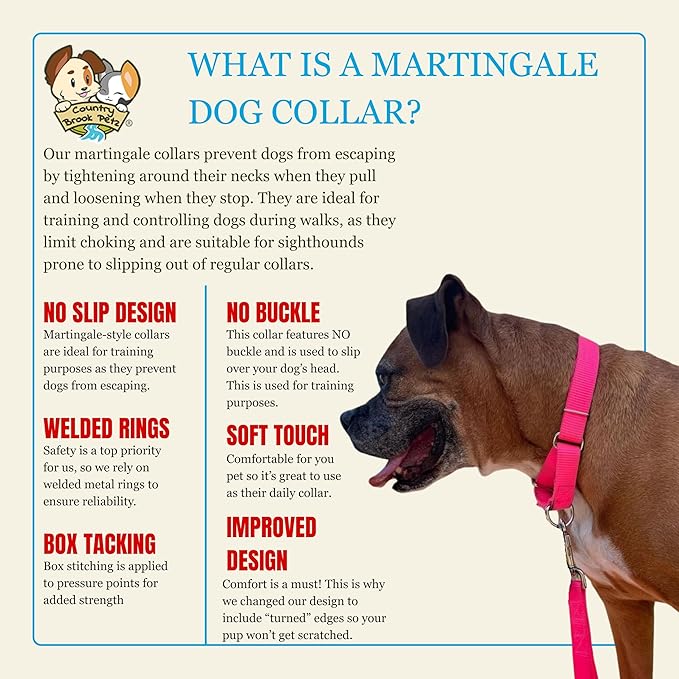Country Brook Petz - Martingale Dog Collar - Heavy-Duty Training Collar with No Buckle - Service Dog Collar for All Pups - 20 Vibrant Colors (Hot Pink, 3/4 Inch, Small)