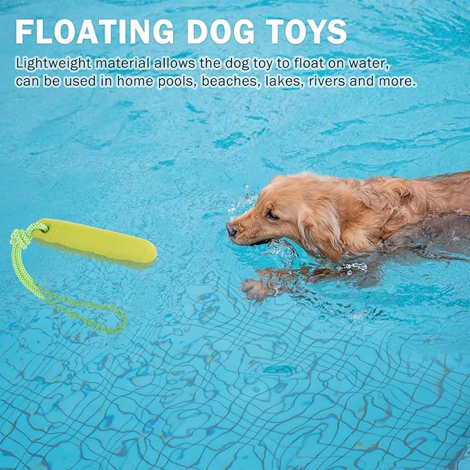 SCENEREAL Floating Dog Toys for Water Fetch, 8.5" Dog Water Toy for Medium Large Dogs, Tough Interactive 2 Pack Fetch Bumpers with Durable Rope for Summer Training Teething Outdoor Pool, Blue & Green
