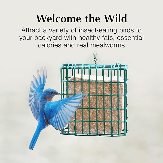 C&S Mealworm Suet Treat, Suet Cakes for Wild Birds, 11 Ounces