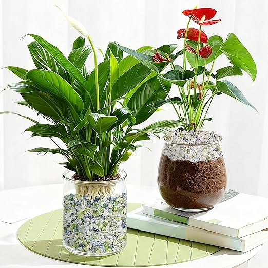 2.2LB Natural Gravel Pebbles, 1/4 Inch Gravel Stones for Succulent and Cactus, Aquariums, Terrarium, Vases and Indoor Outdoor Gardening,Green