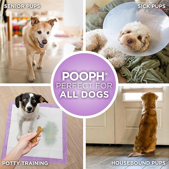 POOPH Puppy Pads 50 Count, 24x24 Inch Extra Large Dog Pee Pads, Disposable Training Pads with Odor Control & Leak-Proof Quick-Dry Backing for Puppies, Adult Dogs, Seniors & Housebound Pets