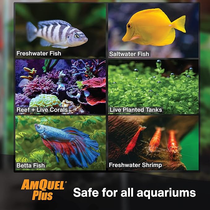 KORDON #33444 AmQuel Plus for Aquarium, 4-Ounce