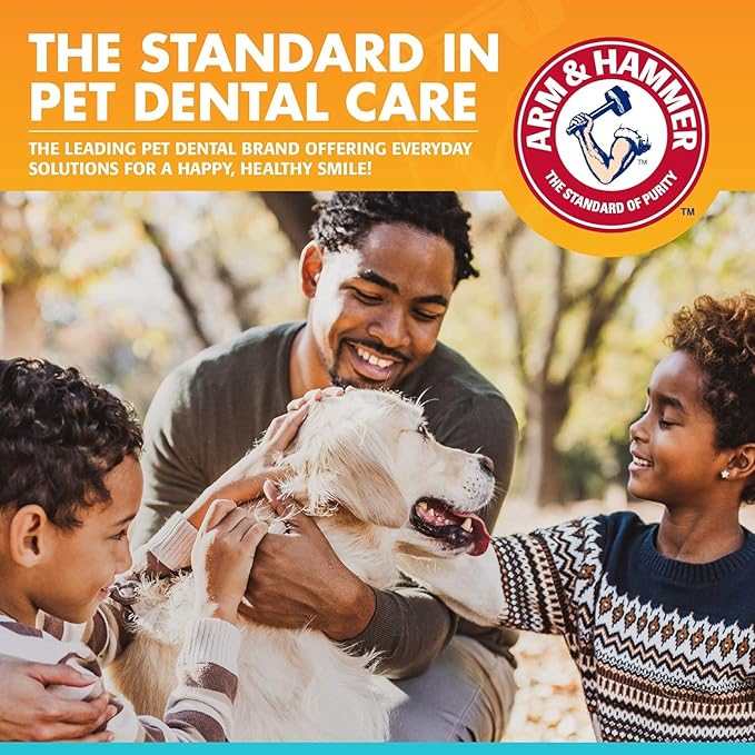 Arm & Hammer for Pets Dog Oral Care Spray, Mint Flavor Breath Freshener with Baking Soda for Brushless Plaque and Tartar Support, Easy Daily Dental Maintenance for Adult Dogs, 4 Fl Oz - 2 Pack