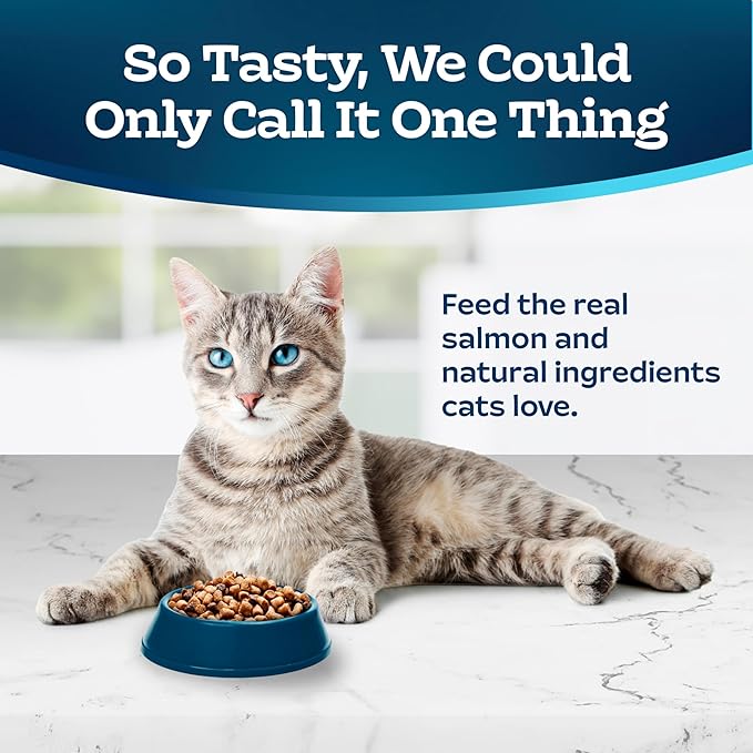 Blue Buffalo Tastefuls Natural Dry Food for Adult Indoor Cats, Salmon & Brown Rice Recipe, 3-lb. Resealable Bag