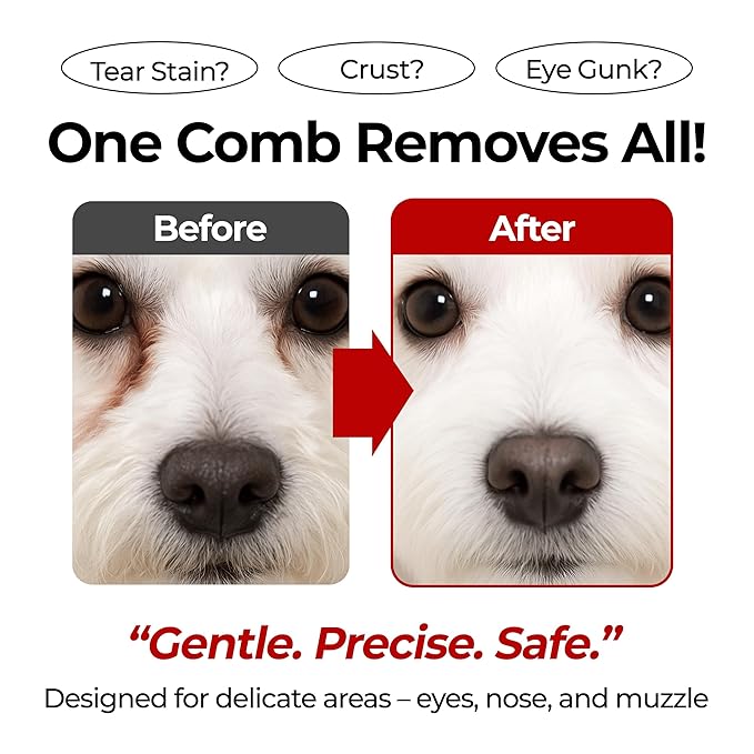 JAYU PET Facial Grooming Comb - Dog Eye Combs, Stress-free Tear Stain Remover for Dogs & Cats, Pet Facial Brush, Cat Grooming Kit, Stainless Steel Deshedding Comb (2ea)