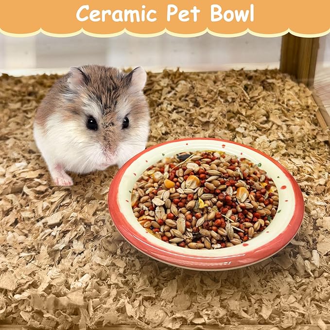 kathson Hamster Ceramic Food Bowl Small Animal Bowls with Watermelon Pattern for Cage Guinea Pig Anti-Turning Food and Water Dish Pet Feeder for Gerbil Hedgehog 2PCS