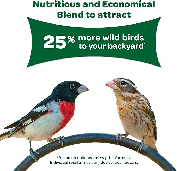 Kaytee Wild Bird Food, 40 Pound