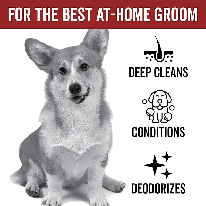 Pride and Groom DogDays Nourishing Dog Conditioner | Tearless, Hypoallergenic Formula for Allergies, Itching & Dry Skin | Natural Detangler for Dogs | Extends Life of Dog Groom | 16 oz