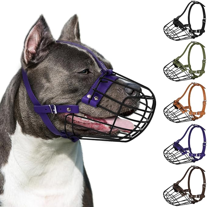 Pitbull Dog Muzzle Breathable Metal Basket for Large Dogs Amstaff Staffordshire Terrier Secure Wire Mask Adjustable Durable Leather Straps Biting Chewing Barking (Purple)