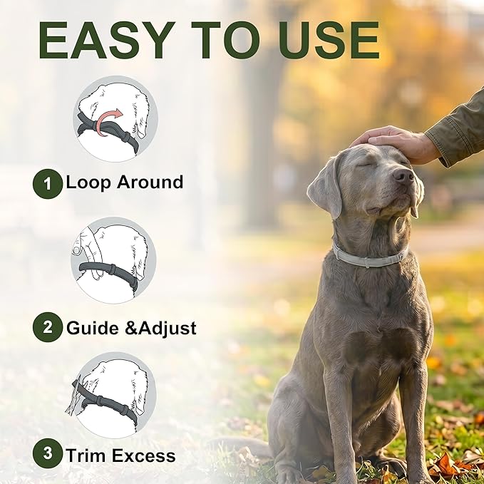 Craveit Dog Flea Collar, 2 Pack Flea Collar for Dogs Large, Gentle Plant-Based Tick Repellent for Large Dog, Waterproof & Adjustable, 8-Month Long-Lasting Defense