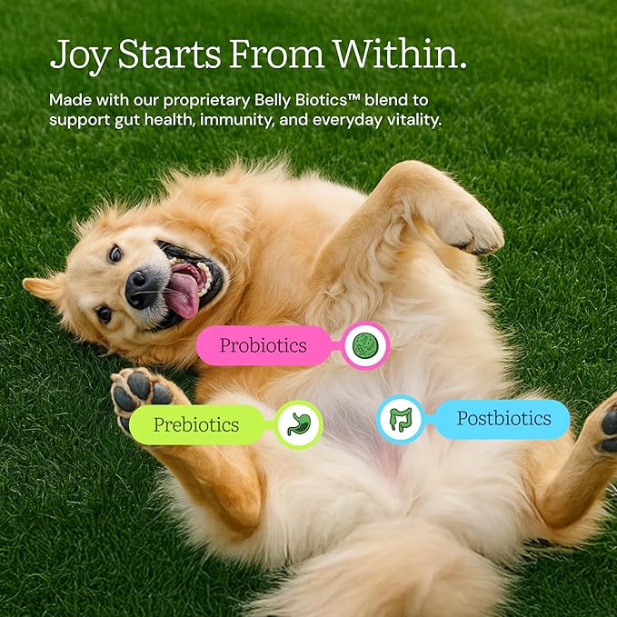 Get Joy Freeze Dried Raw Chicken Dog Food, High Protein Grain Free Meal, Topper & Treat, Gut Health Support with Probiotics, Small to Large Breed, 16oz Bag