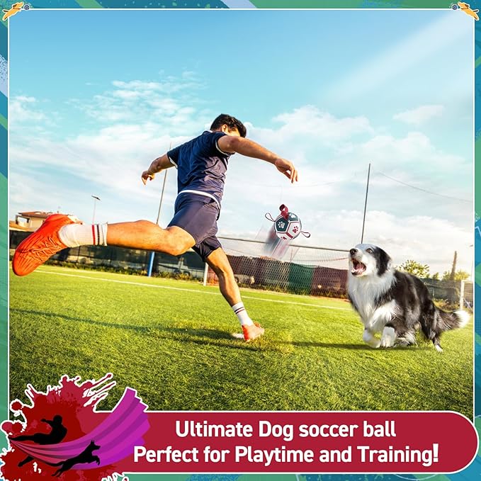 QDAN Dog Toys with Bell Inside, Durable Dog Balls for Tug of War, Outdoor Dog Toys, Squeaky Ball Toy (Blue, 5 inch)