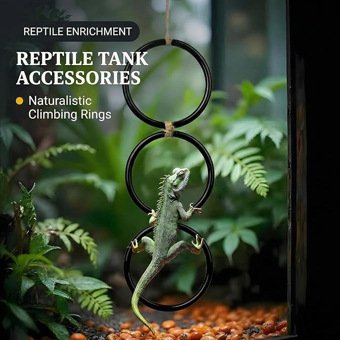 2PCS Snake Climbing Rings for Ball Python - Enrichment Toys for Corn Snake - Reptiletank Cage Decor Habitat Accessories | Terrarium, Bearded Dragon, Chameleon, Iguana, Gecko, Lizard, Parrot