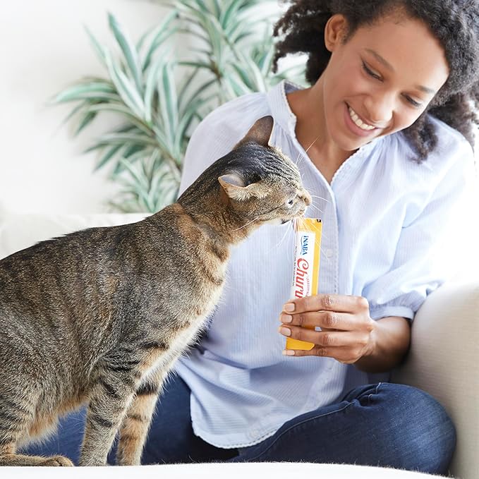 INABA Churu Cat Treats, Lickable, Squeezable Creamy Purée Cat Treat with Green Tea Extract & Taurine, 0.5 Ounces Each Tube, 60 Tubes, Chicken Variety Box