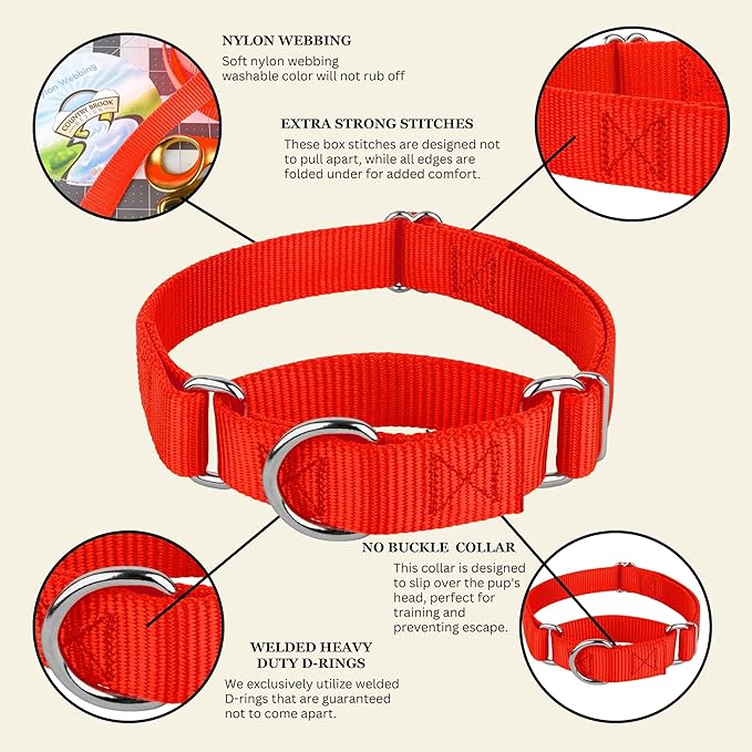 Country Brook Petz - Martingale Dog Collar - Heavy-Duty Training Collar with No Buckle - Service Dog Collar for All Pups - 20 Vibrant Colors (Hot Orange, 3/8 Inch, 2XS)