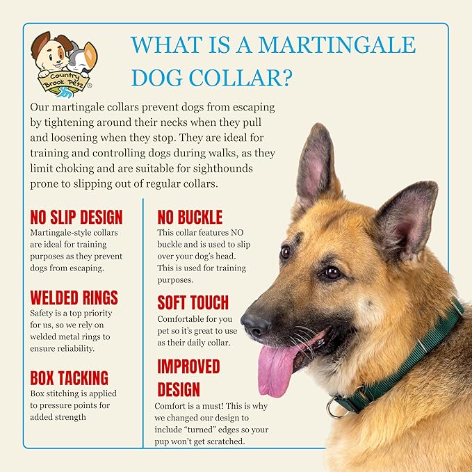 Country Brook Petz - Martingale Dog Collar - Heavy-Duty Training Collar with No Buckle - Service Dog Collar for All Pups - 20 Vibrant Colors (Charcoal, 5/8 Inch, Extra Small)