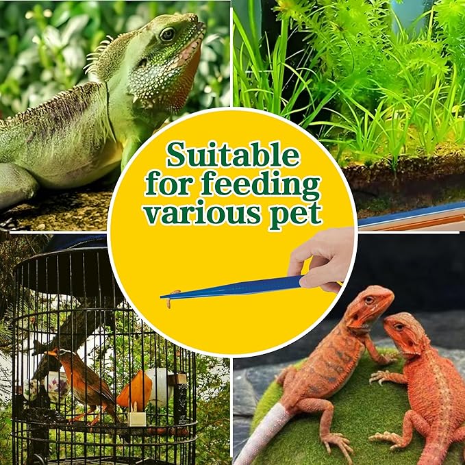 5-Pack Reptile Feeding Tongs Set - Hygienic Anti-Slip Blue Tweezers for Bearded Dragons, Lizards, Snakes, Aquariums & Small Animals(Five colors to choose from)
