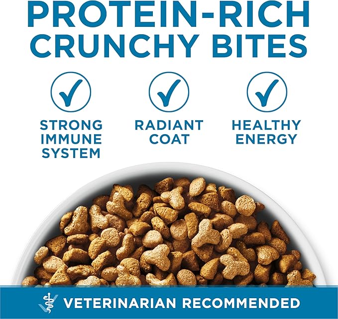Purina ONE High Protein, Natural Senior Dry Cat Food, Indoor Advantage Senior+ - 7 Lb. Bag