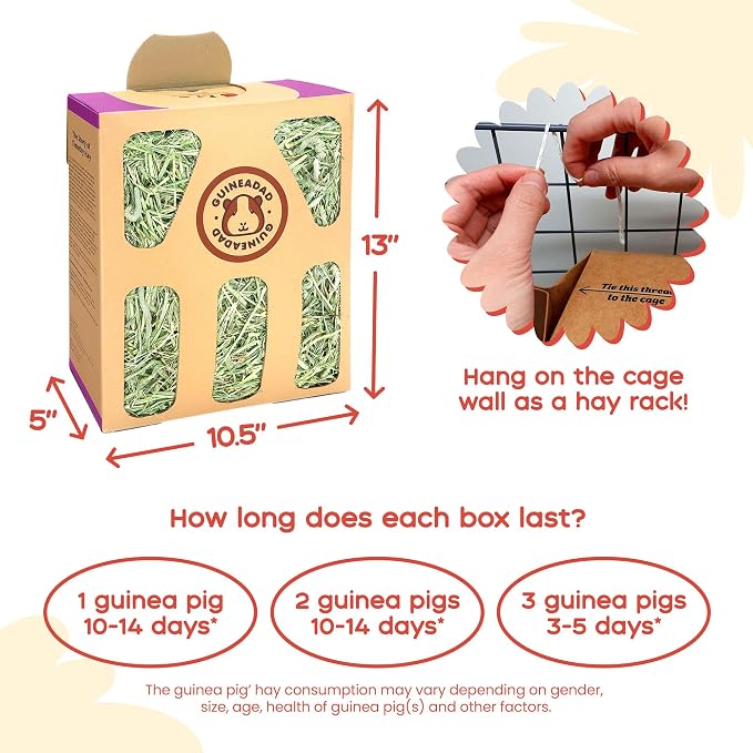 GuineaDad Orchard Hay Box – 3 Pack Guinea Pig Food – Cage-Mounted Feeding System – Orchard Hay for Guinea Pigs, Rabbits & Small Animals – 100% Recyclable & Biodegradable