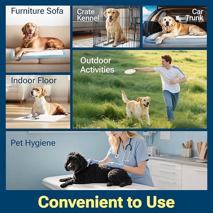 Clean Spaces Super Absorbent Puppy Pads 22"x22" 30 Count, Quick Drying Dog Training Pee Pads, Disposable Underpads for Baby and Adults