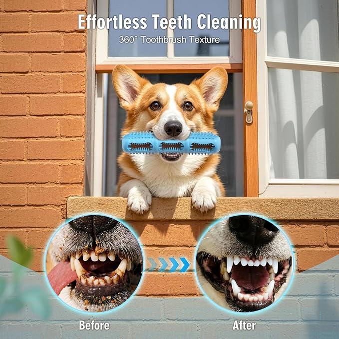 Bite and Brush 360 Dental Chew Toy for Dogs-Dog Toothbrush with Inner & Outer Textures for Teeth Cleaning, Stuffable Rubber Puppy Teething Toy, Interactive Design to Keep Them Busy(Blue)