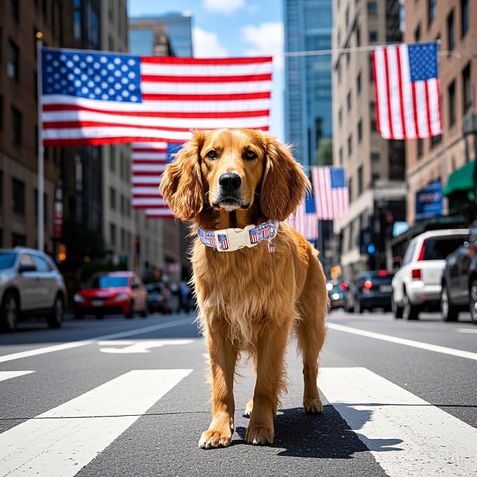 Lionet Paws Summer Dog Collar- Cute 4th of July Dog Collars with America Flag Pattern and Plastic Buckle, Light Adjustable Dog Collars for Medium Dogs