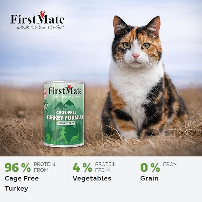 FirstMate Wet Cat Food Limited Ingredient Cage-Free Turkey Formula – Grain Free, High Protein, Single Ingredient, Canned Cat Food – 12.2 oz Case of 12