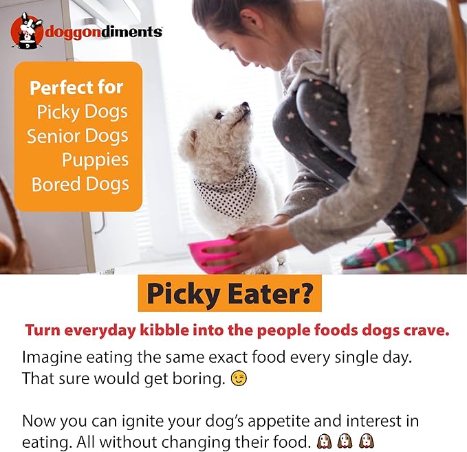 Movie Night Butter Popcorn Dog Food Topper, Fun People Food Flavors, Powder, Small & Large Breeds, Made in USA