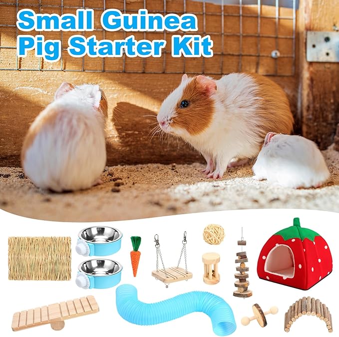 Youyole 13 Pcs Guinea Pig Starter Kit Hamster Toys Bed Guinea Pig Cage Accessories with Tunnel Grass Mats Pet Food Bowl for Christmas Chinchillas Hedgehogs Ferrets Rabbit Hideout Essentials(Red)
