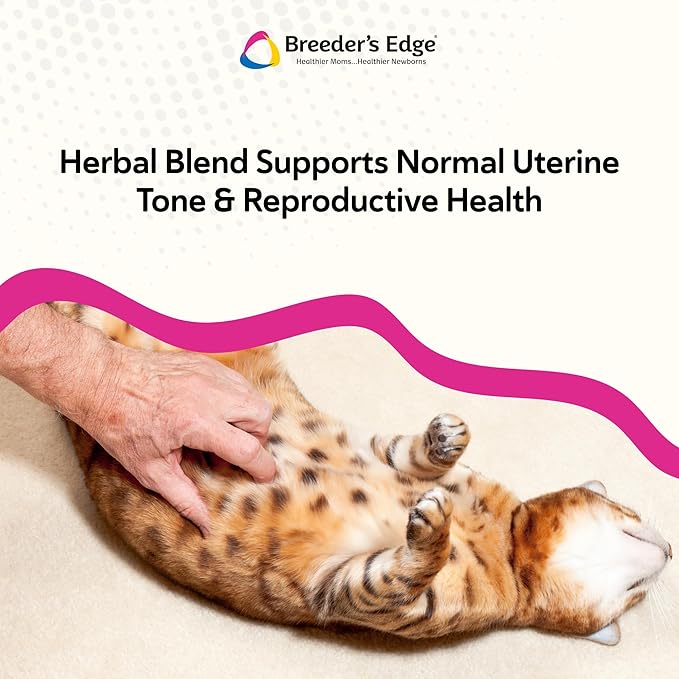 Breeder's Edge Oxy Mate Dog & Cat Prenatal Vitamins, Comprehensive Supplement for Pregnant Dogs and Cats Enriched with Essential Nutrients for Healthy Moms & Litters, Soft Chews - 60ct Small Dog & Cat