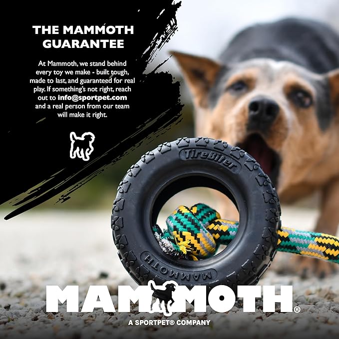 Chew King by Mammoth Glow-in-the-Dark Dog Fetch Balls (8-Pack), Lattice Rubber Balls for Night Play, High Bounce Fetch Toys, Rechargeable Under Any Light, Medium 2.5"