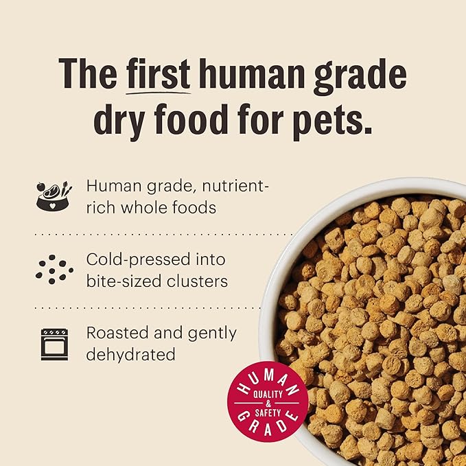 The Honest Kitchen Human Grade Whole Food Clusters Grain Free Chicken & Fish Dry Cat Food, 10 lb Bag