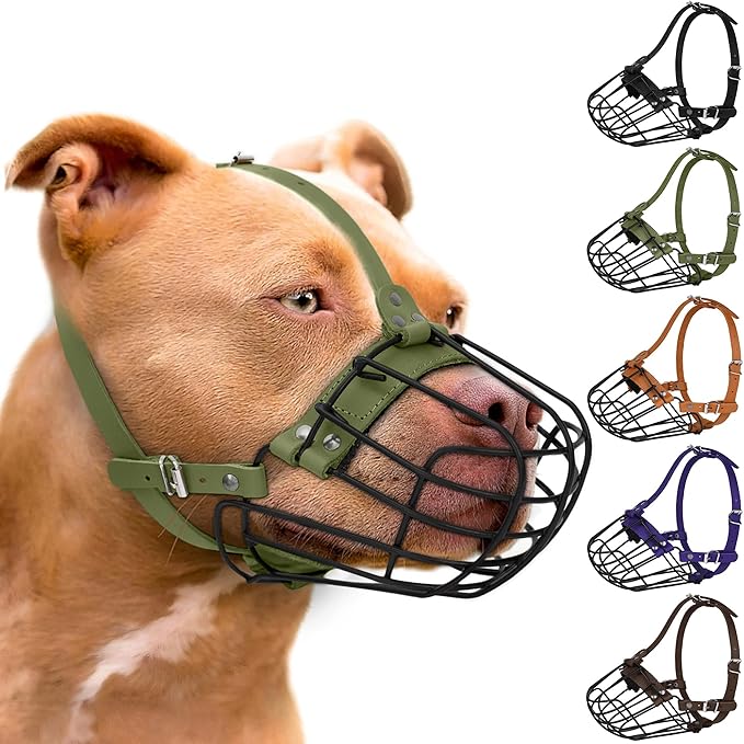 Pitbull Dog Muzzle Breathable Metal Basket for Large Dogs Amstaff Staffordshire Terrier Secure Wire Mask Adjustable Durable Leather Straps Biting Chewing Barking (Olive)