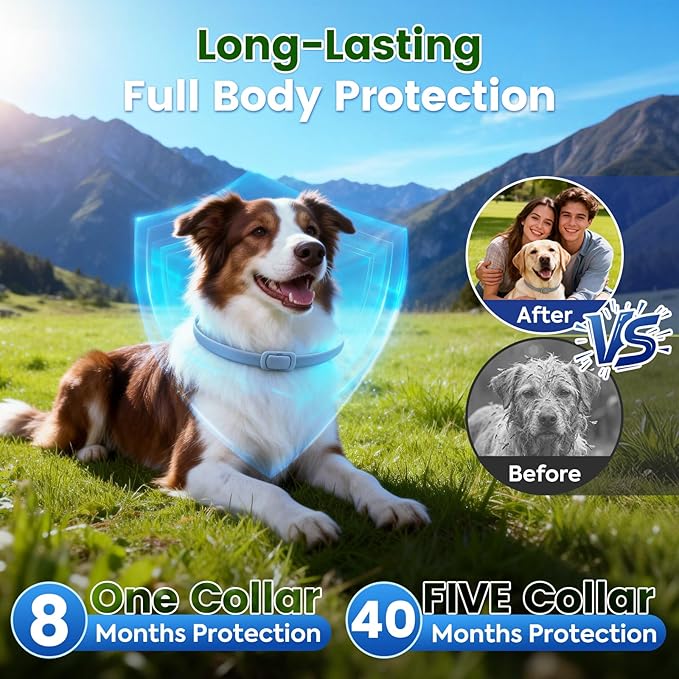 KOOSA Flea and Tick Collar for Dogs, 5 Packs Flea Collar for Dogs with Natural Essential Oils, Waterproof & Adjustable Flea and Tick Prevention Collar for Small Medium Large Dogs & Puppies, Grey 01