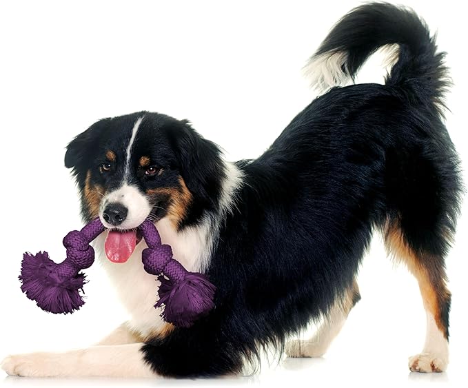 Playology Dog Toys | Dri-Tech Rope Tug of War Dog Toy for Tough Chewers | Bacon Scented Medium Tug Rope Toys for Dogs