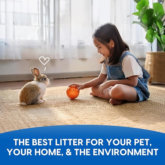Fresh News Recycled Paper Small Animal Litter Bedding, 20 Liters, Packaging May Vary