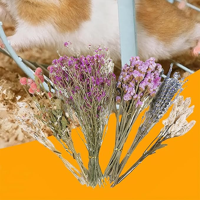 Natural Dried Flower Hamster Sprays for Hamster Cages, Decorative Floral Hamster Bedding Decors, Small Animal Houses & Habitats Hamster Cage Accessories