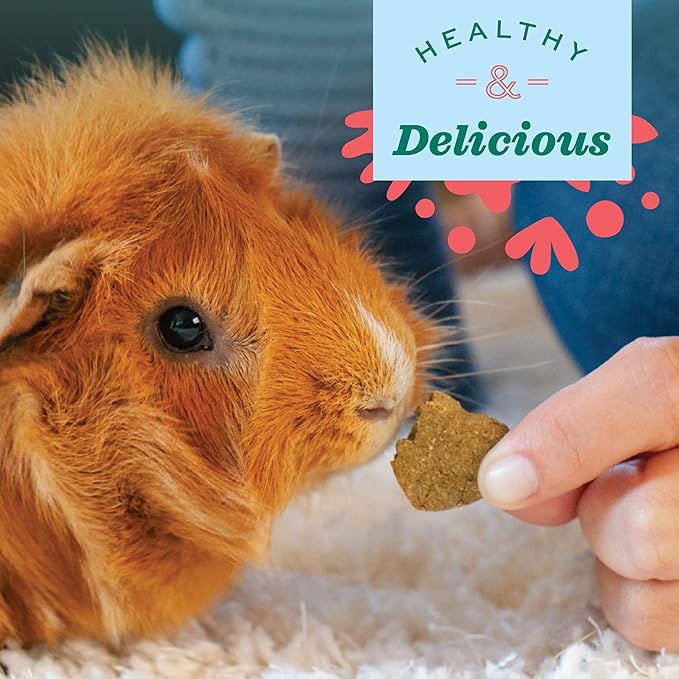 Oxbow Organic Barley Biscuits, Rabbit & Guinea Pig Treats, Organic Hamster & Bunny Treats with Barley, Apple & Carrot, Made in USA, Small Pet Supplies, 2.65 oz Bag
