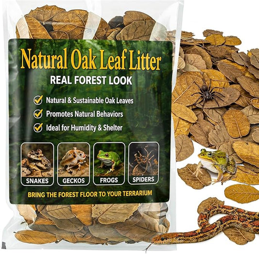 MAQIHAN Dry Oak Leaf Litter for Reptiles – 5 oz Whole Natural Oak Leaves Substrate for Isopods & Bioactive Terrarium Forest Floor Habitat, Premium Enclosure Bedding