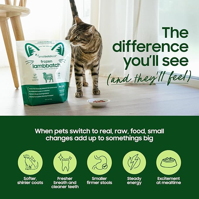 Smallbatch Pets Freeze Dried Raw Dog Food, Beef Recipe, 25 oz, Organic High Protein Dog Food, Grain Free, Made in the USA, Humanely Raised Grass-Fed Beef, Single Protein, Picky Eaters, Hydrate & Serve