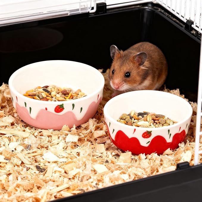 Wontee Hamster Food Bowl 2 Pack Ceramic Food Water Bowl Anti-Tipping for Dwarf Hamsters Gerbil Mice Hedgehog Guinea Pig (Red+Pink)