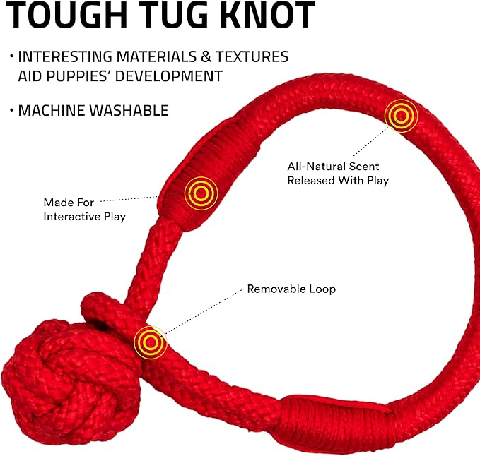 Playology Dog Toys | Tough Tug Knot for Puppies and Young Dogs | Beef Scented Medium Chew Toy Tug Rope | Tug of War Puppy Essentials
