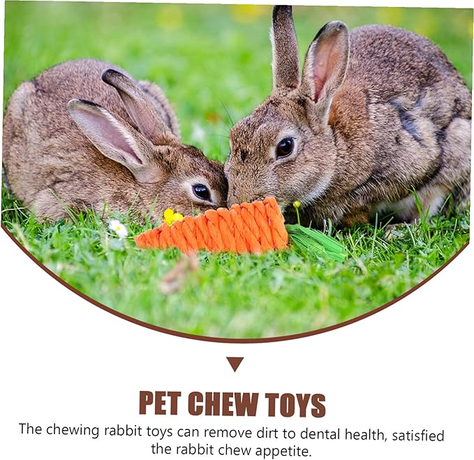 Totority Bunny Teeth Cleaning Chew for Small Pets Indoor Hamster and Rabbit Dental Care Fun Kit for Healthy Teeth and Play