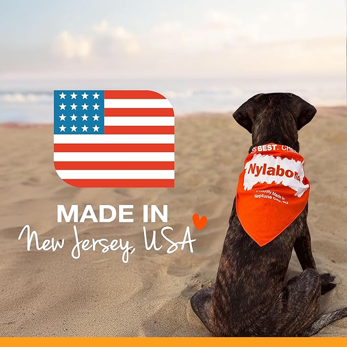Nylabone Nubz Natural Dog Chew Treats for Large Dogs, Long Lasting Dog Chew Bones Made in the USA, Chicken Flavor Breath Freshener Dental Chews, Large Dog Bones for Dogs Over 30 lbs. (18 Count)